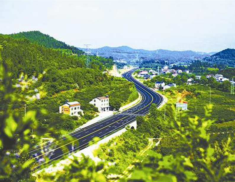 KQ Forestry Public Platform