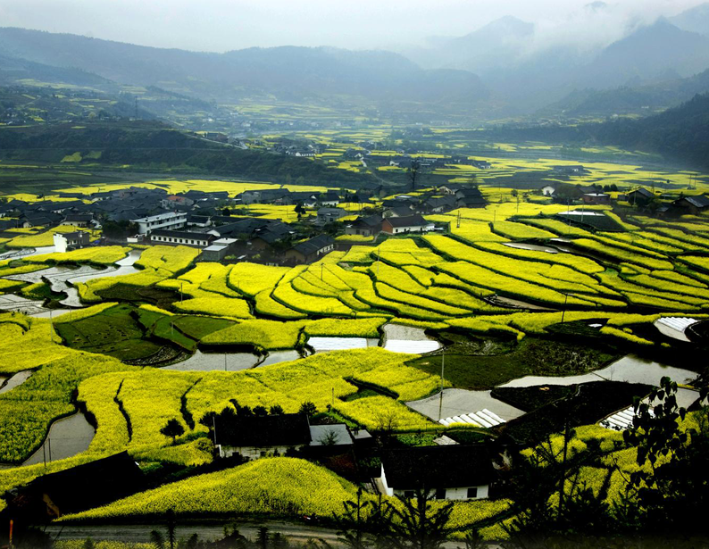 KQ Leisure Agriculture Integrated Management