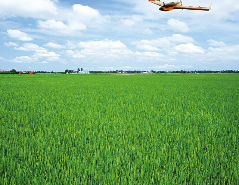 KQ Rural Land Contract Management Rights Platform